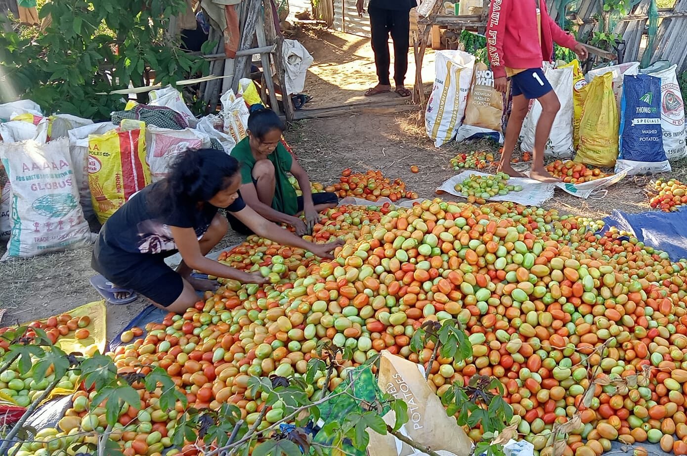 474839857_1632572550844646_69945916317681495_n (1)